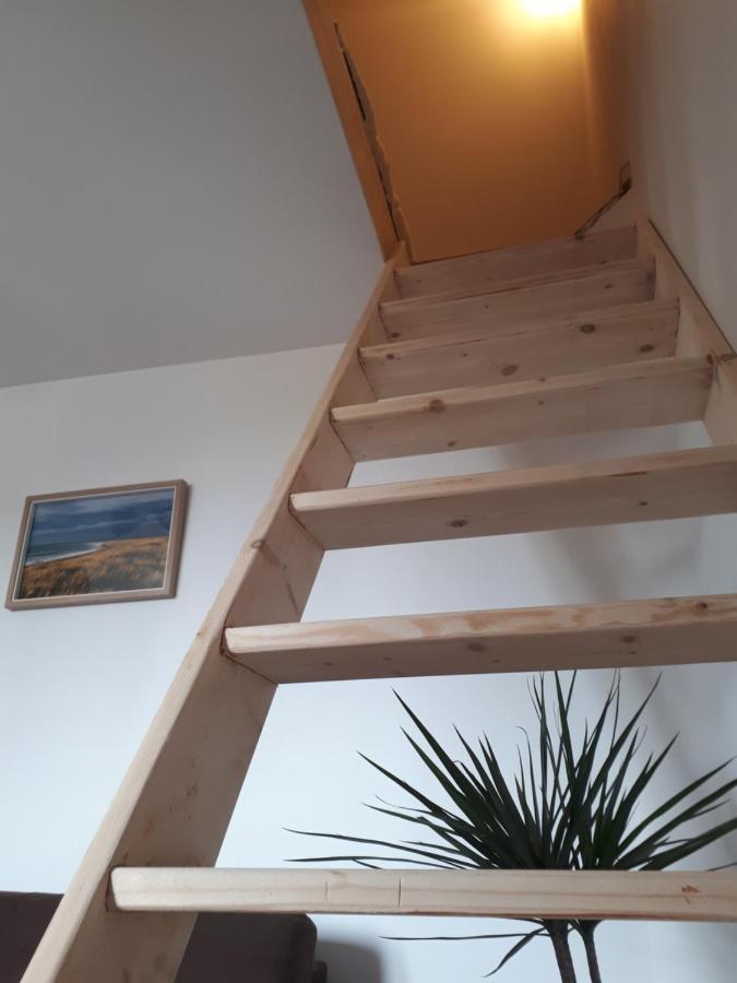 Surf Hostel Quiberon, L'Oyat Saint-Pierre-Quiberon Zewnętrze zdjęcie